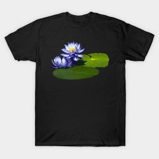 Water Lilies - Purple Water Lilies in Sunshine T-Shirt